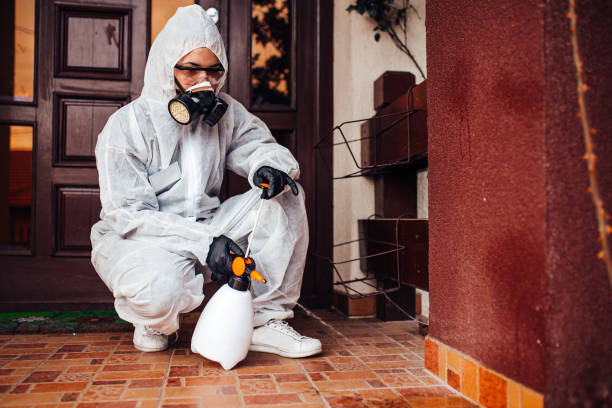 Reliable Cockroach Control contractor in Notasulga, AL by Nex Pest Control